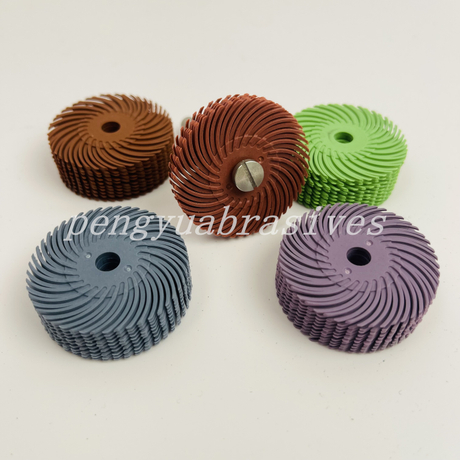 radial bristle disc11.jpg