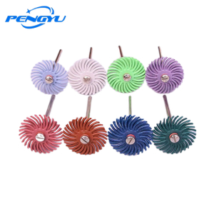 Bonito top 3/4 'pinceles y discos de cerdas radiales